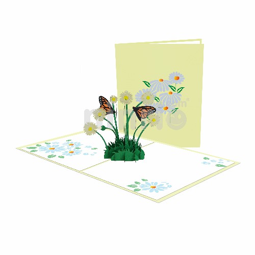 Daisy Chrysanthemum Card - Flowers Card Thiệp hoa cúc daisy - Thiệp pop up hoa