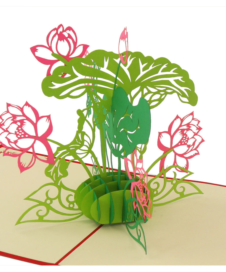 Nelumbo nucifera Card - Flower 3D Card