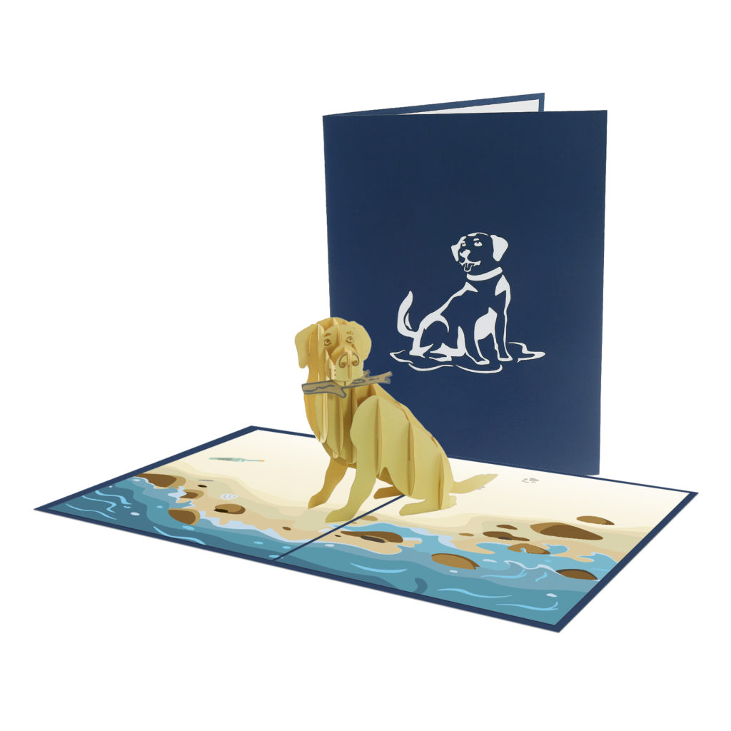 Animal Dog 3D Card Animal 3D Card - Anniversary Card