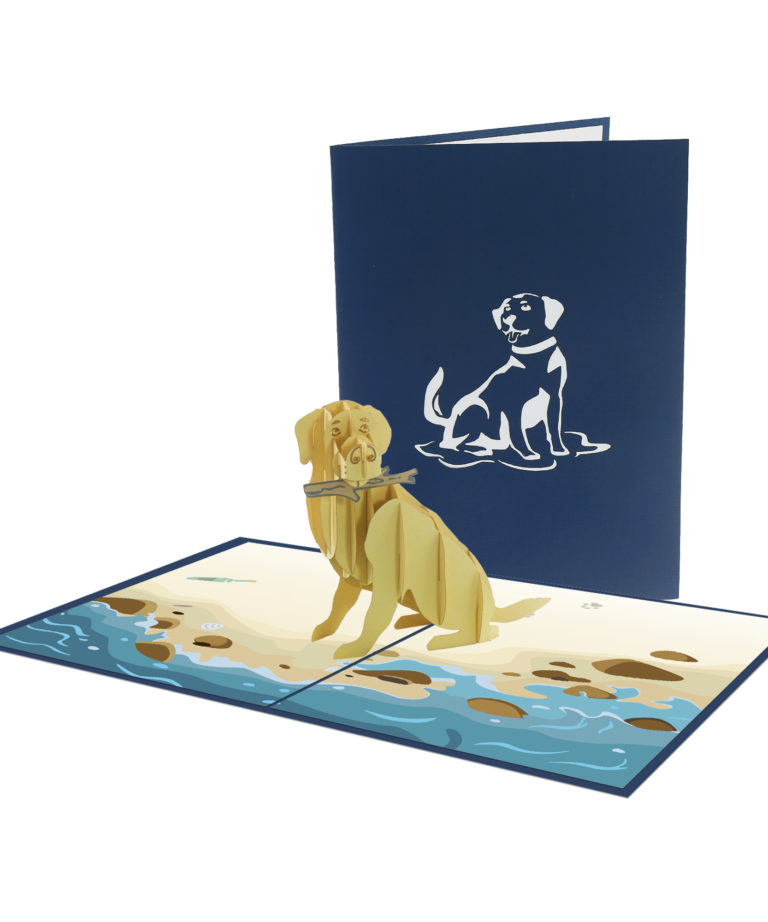 Animal Dog 3D Card Animal 3D Card - Anniversary Card
